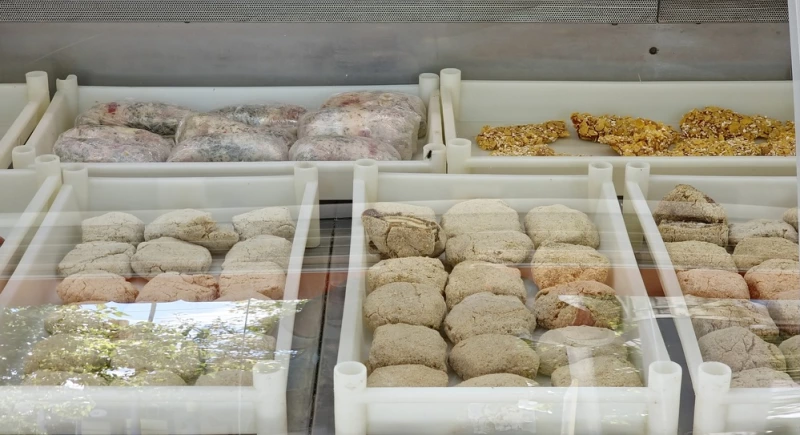 Aliments congelés