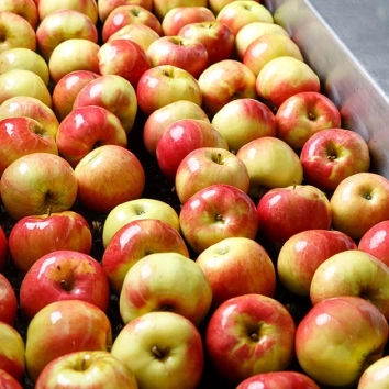RFID Obst und Gemüse