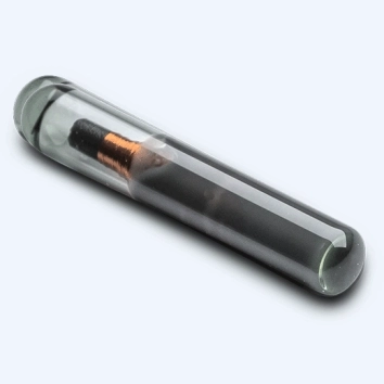 Tag RFID HID Glass Hitag S 12mm