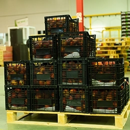 Identification of fruit boxes and pallets