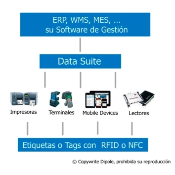 Dipole Data Suite
