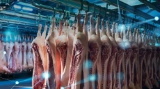 Solution RFID pour le secteur de la viande | Dipole