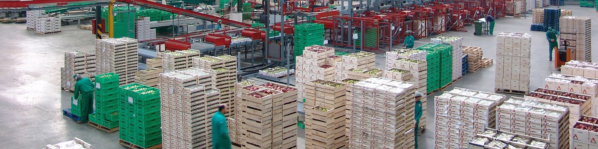 Bannière RFID Fruits Légumes