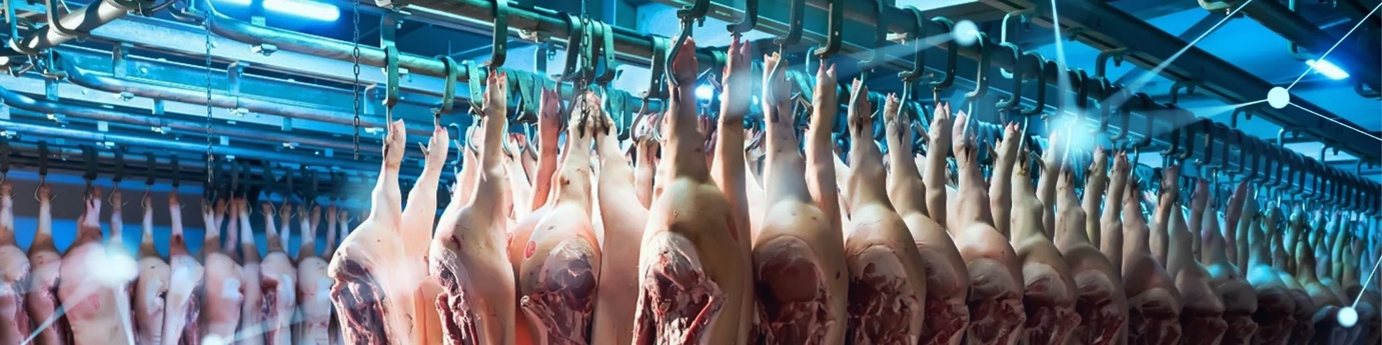 Solution RFID pour le secteur de la viande | Dipole